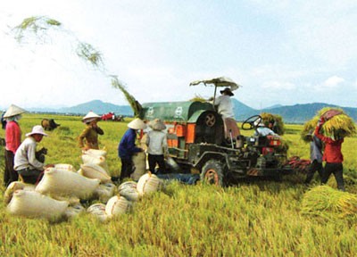  Investment restructuring required to develop agriculture - ảnh 1